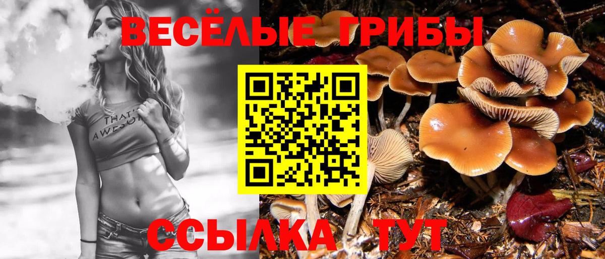 Псилоцибиновые грибы MAGIC MUSHROOMS Гагарин