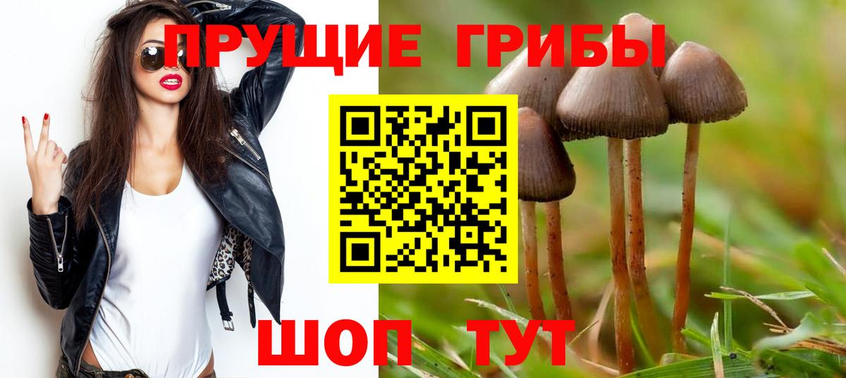 Гагарин  наркошоп  Вход с VPN  Галлюциногенные грибы Magic Shrooms 