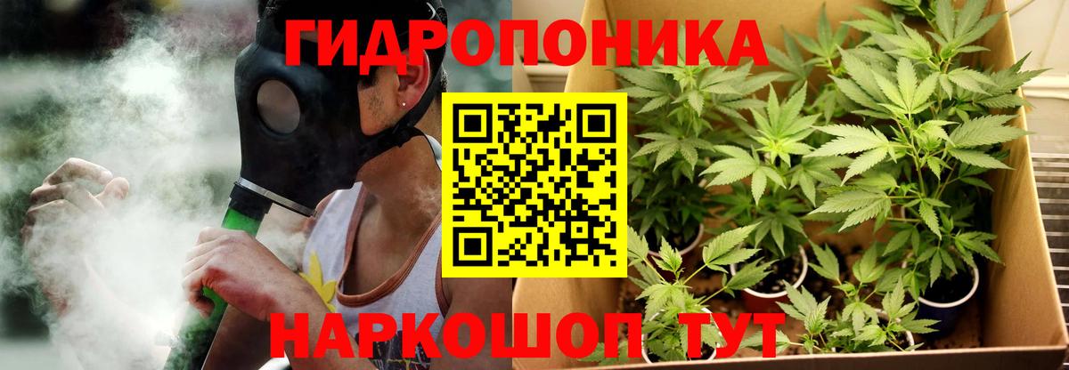 Бошки марихуана конопля Гагарин